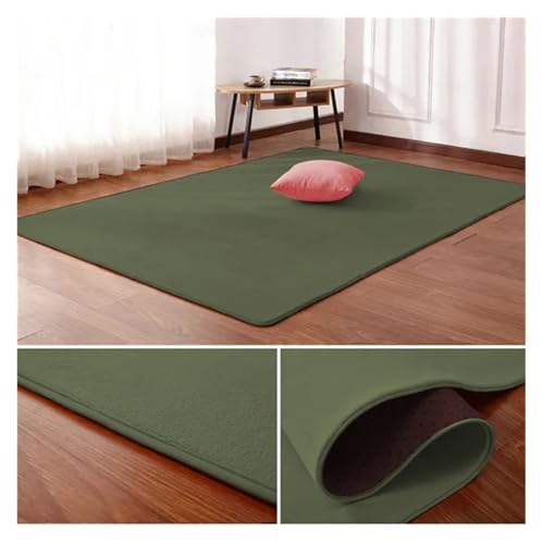 PSNKLMM Wohnzimmer Teppich Bodenmatte Schlafzimmer Bett Korallen Fleece Decke Studie Tür Teppich Korallen Fleece Kissen(4,100 x200cm) von PSNKLMM