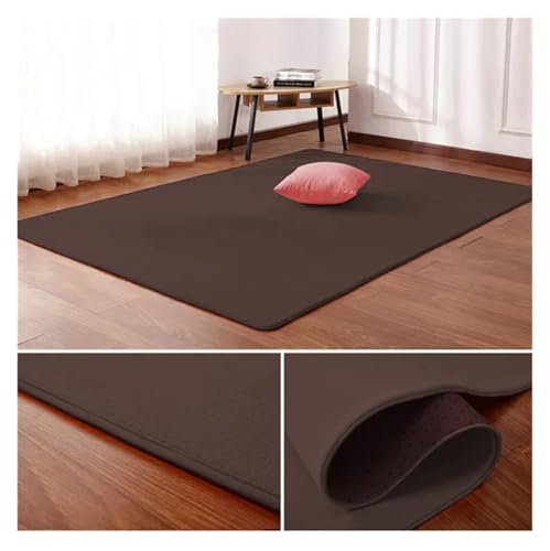 PSNKLMM Wohnzimmer Teppich Bodenmatte Schlafzimmer Bett Korallen Fleece Decke Studie Tür Teppich Korallen Fleece Kissen(5,50 x80cm) von PSNKLMM