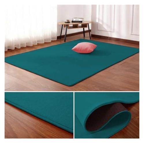 PSNKLMM Wohnzimmer Teppich Bodenmatte Schlafzimmer Bett Korallen Fleece Decke Studie Tür Teppich Korallen Fleece Kissen(6,50 x80cm) von PSNKLMM