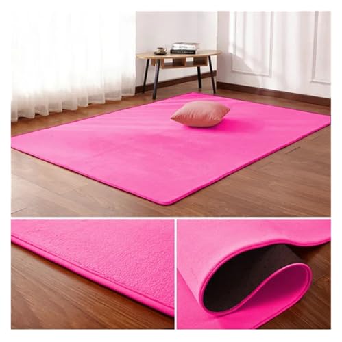 PSNKLMM Wohnzimmer Teppich Bodenmatte Schlafzimmer Bett Korallen Fleece Decke Studie Tür Teppich Korallen Fleece Kissen(7,50 x80cm) von PSNKLMM