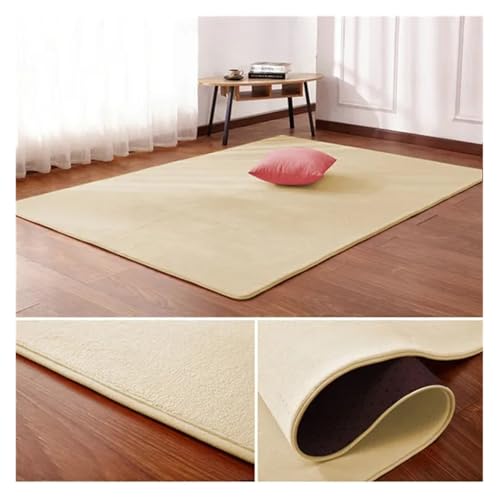 PSNKLMM Wohnzimmer Teppich Bodenmatte Schlafzimmer Bett Korallen Fleece Decke Studie Tür Teppich Korallen Fleece Kissen(8,50 x150cm) von PSNKLMM