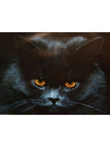 PSYWORK Schwarzlicht Poster | Blue Cat | 64x90cm | ungerahmt | Kunstdruck | Fantasy | Wandbild | Wandposter | Katze | Perserkatze von PSYWORK