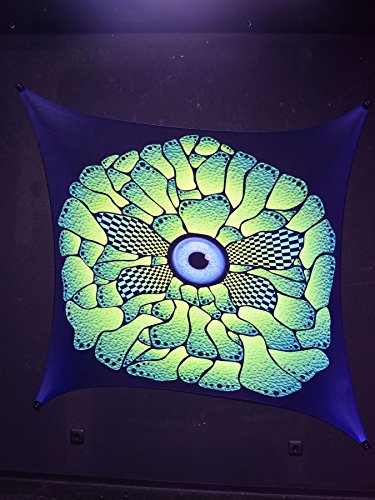 PSYWORK Schwarzlicht Segel Spandex | Goa Lava | 2,25 x 2,25m | UV-aktiv | leuchtend | Wandtuch Wandbehang Stoff Neon Deko Party Tuch Tapestry Poster Psy PSYWORK Schwarzlicht Segel Spandex | Goa Lava | 2,25 x 2,25m | UV-aktiv | leuchtend | Wandtuch Wandbehang Stoff Neon Deko Party Tuch Tapestry Poster Psy von PSYWORK