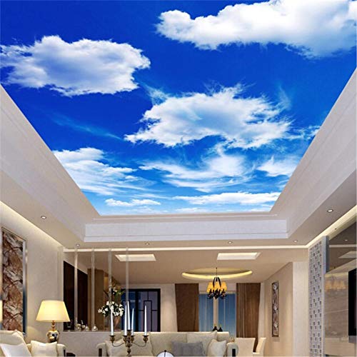 PSiFound® 3D Kinder Kunst Foto Wallpaper Wandbild Blau Himmel Wolken Landschaft (250X175Cm) Selbstklebender Vliesstoff Poster Diy Wandtattoo Mädchen Innenraum Schlafzimmer Wanddekoration von PSiFound®