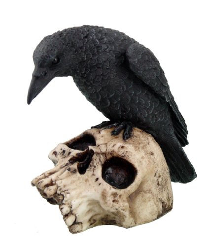 Rabe sitzt auf Totenkopf - Deko Figur Rabe sitzt auf Totenkopf - Deko Figur von PTC