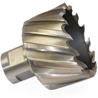 Kernbohrer HSS-Co5 tialn beschichtet mit Weldonschaft 21,00 x 55,00 mm von PTG