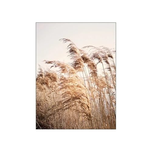 Wandkunst Leinwanddrucke Modernes Bild Für Zimmer Nordic Herbst Sonnenschein Reed Baumwolle Baum Landschaft Poster Leinwand Malerei Und Drucke Wand Kunst Wohnkultur(D,50x70cm) von PTHEN