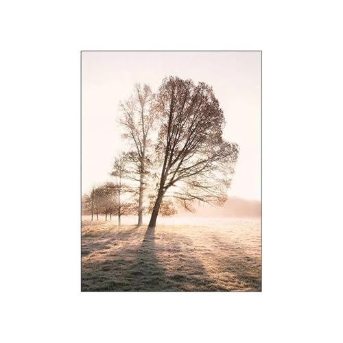 Wandkunst Leinwanddrucke Modernes Bild Für Zimmer Nordic Herbst Sonnenschein Reed Baumwolle Baum Landschaft Poster Leinwand Malerei Und Drucke Wand Kunst Wohnkultur(EIN,40x60cm) von PTHEN