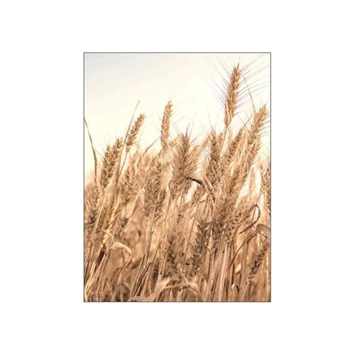 Wandkunst Leinwanddrucke Modernes Bild Für Zimmer Nordic Herbst Sonnenschein Reed Baumwolle Baum Landschaft Poster Leinwand Malerei Und Drucke Wand Kunst Wohnkultur(G,40X50cm) von PTHEN