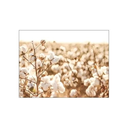 Wandkunst Leinwanddrucke Modernes Bild Für Zimmer Nordic Herbst Sonnenschein Reed Baumwolle Baum Landschaft Poster Leinwand Malerei Und Drucke Wand Kunst Wohnkultur(I,50x70cm) von PTHEN