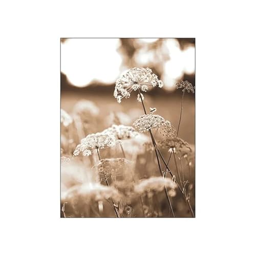 Wandkunst Leinwanddrucke Modernes Bild Für Zimmer Nordic Herbst Sonnenschein Reed Baumwolle Baum Landschaft Poster Leinwand Malerei Und Drucke Wand Kunst Wohnkultur(K,30x40cm) von PTHEN