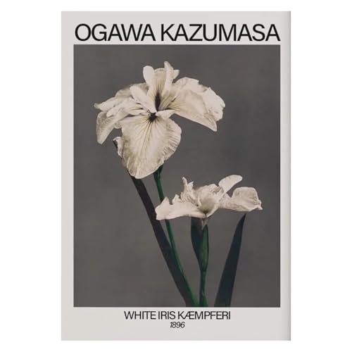 Wandkunst Leinwanddrucke Retro Japanische Blumendarstellung Poster Natur Botanische Blume Dahlie Sakura Azalee Leinwand Malerei Wand Kunst Zimmer Wohnkultur(C,40x60cm) von PTHEN