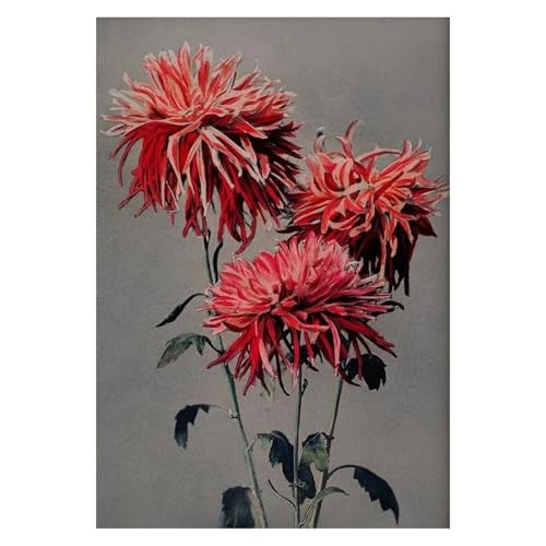 Wandkunst Leinwanddrucke Retro Japanische Blumendarstellung Poster Natur Botanische Blume Dahlie Sakura Azalee Leinwand Malerei Wand Kunst Zimmer Wohnkultur(F,40X50cm) von PTHEN