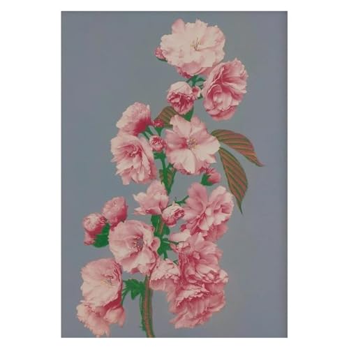 Wandkunst Leinwanddrucke Retro Japanische Blumendarstellung Poster Natur Botanische Blume Dahlie Sakura Azalee Leinwand Malerei Wand Kunst Zimmer Wohnkultur(I,40X50cm) von PTHEN