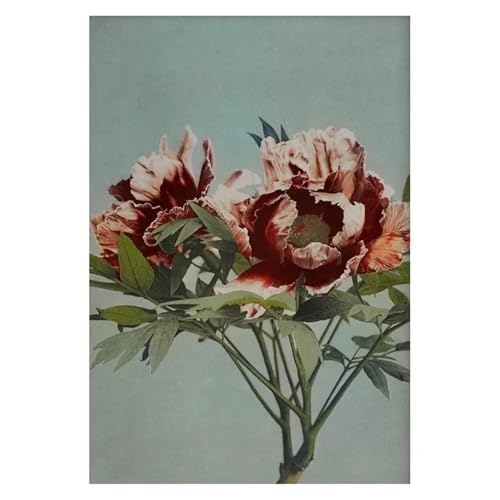 Wandkunst Leinwanddrucke Retro Japanische Blumendarstellung Poster Natur Botanische Blume Dahlie Sakura Azalee Leinwand Malerei Wand Kunst Zimmer Wohnkultur(M,40x60cm) von PTHEN
