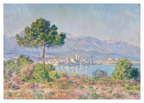 Wandkunst-Leinwanddrucke Seerosen/Frau Mit Sonnenschirm/Etretat Strand Poster Claude Monet Leinwand Gemälde Impressionist(J,30x40cm) von PTHEN