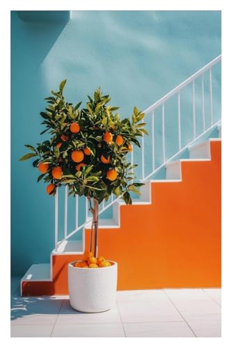 Wandkunst-Leinwanddrucke Zitronenbaum, Orangenbaum Auf Fenster, Poster, Mediterrane Leinwandmalerei, Druck, Wandkunst, Bild Für Wohnzimmer, Heimdekoration(B,40x50cm) von PTHEN
