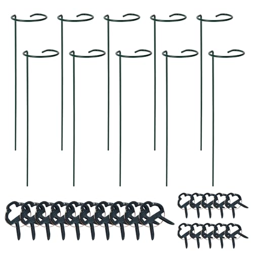 PTJJXA 10 Stück Pflanzenhalter Metall Rost, Pflanzenkäfig Stützringe Pflanzen, Pflanzenstützstäbe für den Garten, Pflanzenstützen mit 10 Pflanzenclips für Hortensien Orchideen Amaryllis (40cm) von PTJJXA