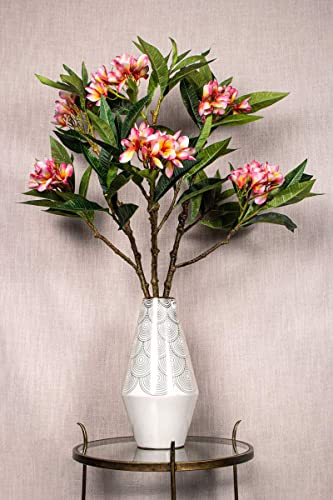 PTMD Plumeria Künstliche Blume - 72 x 25 x 110 cm - Kunststoff - Pink von PTMD collection