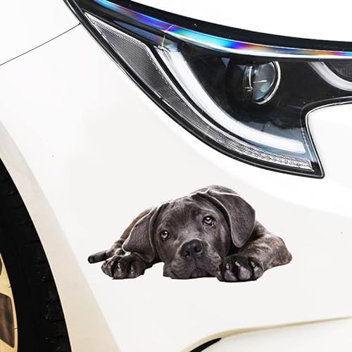 2 Stück Hund Auto Aufkleber,3D Realistischer Französische Bulldogge Hund Auto Aufkleber Wasserdicht Karosserie Aufkleber Heckscheibe Sticker Fenster Wandaufkleber für Auto Wände Kühlschrank Laptop von PTNKUIIY