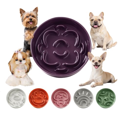 Keramik Antischlingnapf für kleine Hunde - Rutschfester Hundenapf aus Keramik - Futternapf für Hunde und Katzen - Geeignet für rockenfutter und Nassfutter - Lila - 180g Keramik Antischlingnapf für kleine Hunde - Rutschfester Hundenapf aus Keramik - Futternapf für Hunde und Katzen - Geeignet für rockenfutter und Nassfutter - Lila - 180g von PTOBER