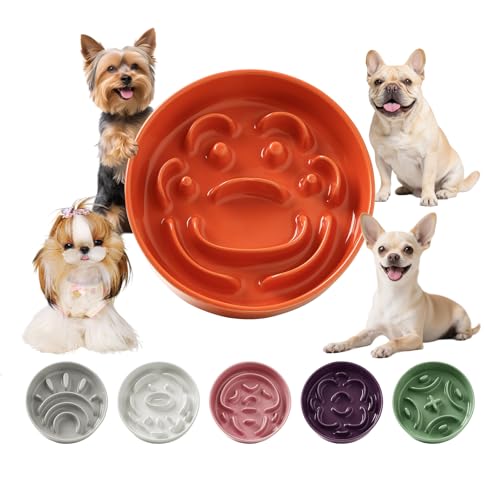 Keramik Antischlingnapf für kleine Hunde - Rutschfester Hundenapf aus Keramik - Futternapf für Hunde und Katzen - Geeignet für rockenfutter und Nassfutter - Orange - 180g Keramik Antischlingnapf für kleine Hunde - Rutschfester Hundenapf aus Keramik - Futternapf für Hunde und Katzen - Geeignet für rockenfutter und Nassfutter - Orange - 180g von PTOBER