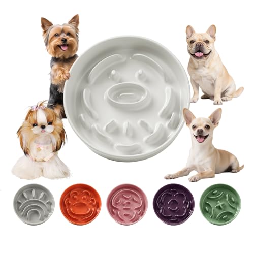 Keramik Antischlingnapf für kleine Hunde - Rutschfester Hundenapf aus Keramik - Futternapf für Hunde und Katzen - Geeignet für rockenfutter und Nassfutter - Weiss - 180g Keramik Antischlingnapf für kleine Hunde - Rutschfester Hundenapf aus Keramik - Futternapf für Hunde und Katzen - Geeignet für rockenfutter und Nassfutter - Weiss - 180g von PTOBER