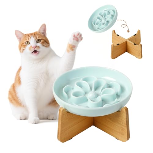 Antischlingnapf Katze Erhöht aus Melamin - Blumenform-Labyrinth Fressnapf mit Bambusständer - Katzennapf für Langsames Fressen - Blau Antischlingnapf Katze Erhöht aus Melamin - Blumenform-Labyrinth Fressnapf mit Bambusständer - Katzennapf für Langsames Fressen - Blau von PTOBER