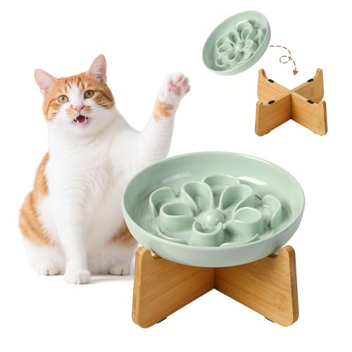 Antischlingnapf Katze Erhöht aus Melamin - Blumenform-Labyrinth Fressnapf mit Bambusständer - Katzennapf für Langsames Fressen - Grün Antischlingnapf Katze Erhöht aus Melamin - Blumenform-Labyrinth Fressnapf mit Bambusständer - Katzennapf für Langsames Fressen - Grün von PTOBER