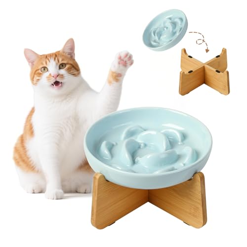 Antischlingnapf Katze Keramik mit Bambusständer - Erhöhter Katzennapf gegen Schlingen - Labyrinth Futternapf für langsames Fressen - Hellblau Antischlingnapf Katze Keramik mit Bambusständer - Erhöhter Katzennapf gegen Schlingen - Labyrinth Futternapf für langsames Fressen - Hellblau von PTOBER
