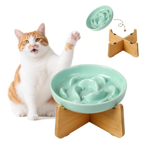 Antischlingnapf Katze Keramik mit Bambusständer - Katzennapf Erhöht - Fressnapf Katzen gegen Schlingen - Labyrinth Futternapf für langsames Fressen - Mintgrün Antischlingnapf Katze Keramik mit Bambusständer - Katzennapf Erhöht - Fressnapf Katzen gegen Schlingen - Labyrinth Futternapf für langsames Fressen - Mintgrün von PTOBER