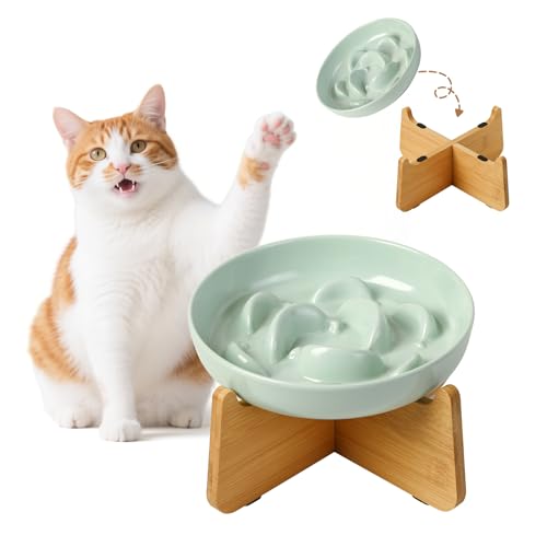 Antischlingnapf Katze Melamin mit Bambusständer - Erhöhter Futternapf gegen Schlingen - Labyrinth Katzennapf für langsames Fressen - Mintgrün Antischlingnapf Katze Melamin mit Bambusständer - Erhöhter Futternapf gegen Schlingen - Labyrinth Katzennapf für langsames Fressen - Mintgrün von PTOBER