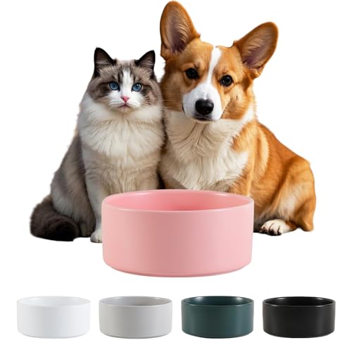 Futternapf Hund Keramik Napf Katze - Fressnapf für Kleine und Mittelgroße Hunde - Hundenapf für Futter oder Wasser - 320 g / 720 ml - Rosa (1 Stück) von PTOBER