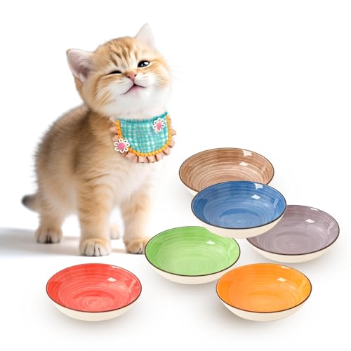 Futternapf Katze Keramik Katzennapf Set - 6 Stück Mehrfarbige Katzennäpfe - Katzen Fressnapf mit Wirbelmuster - Katzenschüssel - Katzenfutter Napf - Katzenteller Flach - 250 ml Futternapf Katze Keramik Katzennapf Set - 6 Stück Mehrfarbige Katzennäpfe - Katzen Fressnapf mit Wirbelmuster - Katzenschüssel - Katzenfutter Napf - Katzenteller Flach - 250 ml von PTOBER