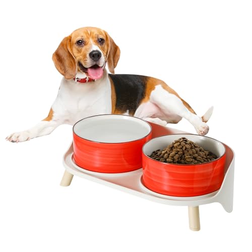 Hunde Napfset Hundenapf Set Erhöht - Doppelnapf Keramik mit Spritzschutz Ständer - Bunte Spirals Hundenäpfe für Futter und Wasser - Ideal für Kleine bis Mittelgroße Hunde - 2 x 800 ml - Rot Hunde Napfset Hundenapf Set Erhöht - Doppelnapf Keramik mit Spritzschutz Ständer - Bunte Spirals Hundenäpfe für Futter und Wasser - Ideal für Kleine bis Mittelgroße Hunde - 2 x 800 ml - Rot von PTOBER