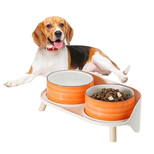 Hunde Napfset Hundenapf Set Erhöht - Doppelnapf Keramik mit Spritzschutz Ständer - Bunte Spirals Hundenäpfe für Futter und Wasser - Ideal für Kleine bis Mittelgroße Hunde - 2 x 800 ml - Orange Hunde Napfset Hundenapf Set Erhöht - Doppelnapf Keramik mit Spritzschutz Ständer - Bunte Spirals Hundenäpfe für Futter und Wasser - Ideal für Kleine bis Mittelgroße Hunde - 2 x 800 ml - Orange von PTOBER