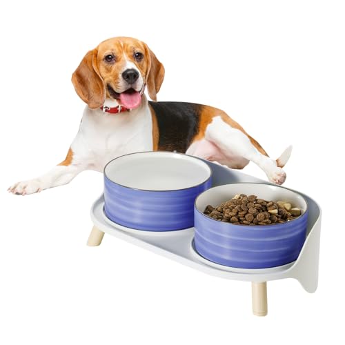Hunde Napfset Hundenapf Set Erhöht - Doppelnapf Keramik mit Spritzschutz Ständer - Bunte Spirals Hundenäpfe für Futter und Wasser - Ideal für Kleine bis Mittelgroße Hunde - 2 x 800 ml - Blau Hunde Napfset Hundenapf Set Erhöht - Doppelnapf Keramik mit Spritzschutz Ständer - Bunte Spirals Hundenäpfe für Futter und Wasser - Ideal für Kleine bis Mittelgroße Hunde - 2 x 800 ml - Blau von PTOBER