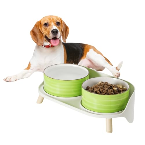 Hunde Napfset Hundenapf Set Erhöht - Doppelnapf Keramik mit Spritzschutz Ständer - Bunte Spirals Hundenäpfe für Futter und Wasser - Ideal für Kleine bis Mittelgroße Hunde - 2 x 800 ml - Grün Hunde Napfset Hundenapf Set Erhöht - Doppelnapf Keramik mit Spritzschutz Ständer - Bunte Spirals Hundenäpfe für Futter und Wasser - Ideal für Kleine bis Mittelgroße Hunde - 2 x 800 ml - Grün von PTOBER