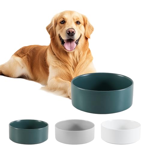 Hundenapf Keramik Futternapf Hund Groß - Fressnapf & Wassernapf für mittelgroße und große Hunde - 750 g / 1750 ml - Grün (1 Stück) von PTOBER