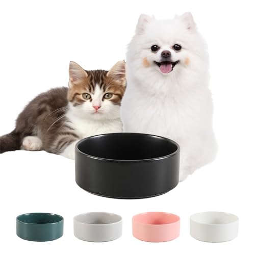 Hundenapf Keramik Futternapf für Kleine Hunde - Fressnapf Hund - Katzennapf - Wassernapf Katzen - Trinknapf Katze - 140 g / 320 ml - Schwarz (1 Stück) von PTOBER
