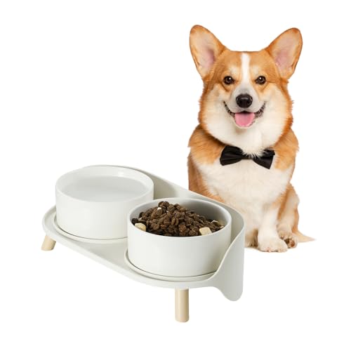 Hundenapf Set Erhöht Hunde Napfset - Doppelnapf Keramik mit Spritzschutz Ständer - Hundenäpfe Bunte für Futter und Wasser - Futterstation für Kleine und Mittelgroße Hunde - 2 x 800 ml - Weiß Hundenapf Set Erhöht Hunde Napfset - Doppelnapf Keramik mit Spritzschutz Ständer - Hundenäpfe Bunte für Futter und Wasser - Futterstation für Kleine und Mittelgroße Hunde - 2 x 800 ml - Weiß von PTOBER