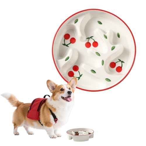 Keramik Anti-Schling-Napf für Hunde - Fressnapf mit Portionskontrolle für mittelgroße und große Hunde - Langsame Fütterung Hundenapf - 310 g Inhalt - mit Doodle-Muster (Kirsche) von PTOBER
