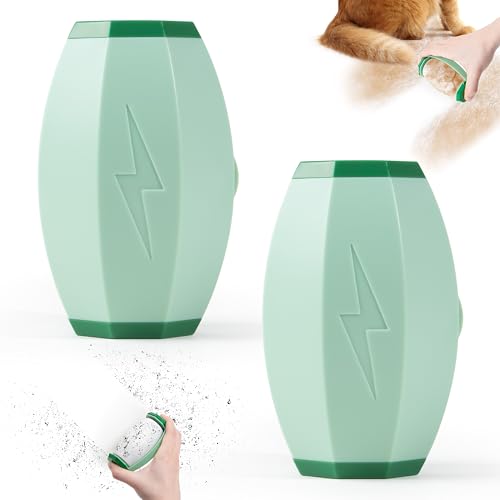 Fusselrolle wiederverwendbar – Tierhaarentferner Kleidung mini, abwaschbar und tragbar, zum Hundehaare entfernen auf Kleidung, Sofa, Auto und mehr (2 Stück, Grün) von PTSUPLES