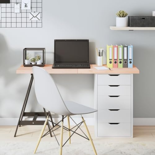 PUEOSZX Multifunktionale Arbeitsplatte mit glatter Oberfläche, rechteckig, klassisches Design, für Servicebänke, Werkbänke oder Schreibtische, braun, 120 x 50 x 4 cm von PUEOSZX