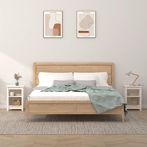 PUEOSZX Nachttisch Betttisch 2 Stück Seitlicher Schrank Multifunktionale Inneneinrichtung für Wohnzimmer Schlafzimmer oder Studie Einfaches und kompaktes Design Weiß 40x35x55 cm PUEOSZX Nachttisch Betttisch 2 Stück Seitlicher Schrank Multifunktionale Inneneinrichtung für Wohnzimmer Schlafzimmer oder Studie Einfaches und kompaktes Design Weiß 40x35x55 cm von PUEOSZX