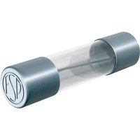 Püschel Feinsicherungen - FSM3,15B FSM3,15B Feinsicherung (ø x l) 5 mm x 20 mm 3.15 a 250 v Mittelträg von PÜSCHEL FEINSICHERUNGEN