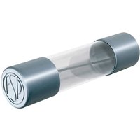 Püschel Feinsicherungen - FST0,05B FST0,05B Feinsicherung (ø x l) 5 mm x 20 mm 0.05 a 250 v Träge -t- von PÜSCHEL FEINSICHERUNGEN