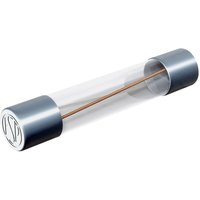 Püschel Feinsicherungen - FSUT0,315B FSUT0,315B Feinsicherung (ø x l) 6.3 mm x 32 mm 0.315 a 250 v Trä von PÜSCHEL FEINSICHERUNGEN
