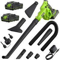 Kabelloser Laubbläser mit 2 Akkus, Ladegerät und Staubbeutel, 2-in-1 20-V-Akkusauger mit selbstsperrendem Schalter, kleiner handgehaltener Kabelloser Laubbläser mit 2 Akkus, Ladegerät und Staubbeutel, 2-in-1 20-V-Akkusauger mit selbstsperrendem Schalter, kleiner handgehaltener von PULITUO