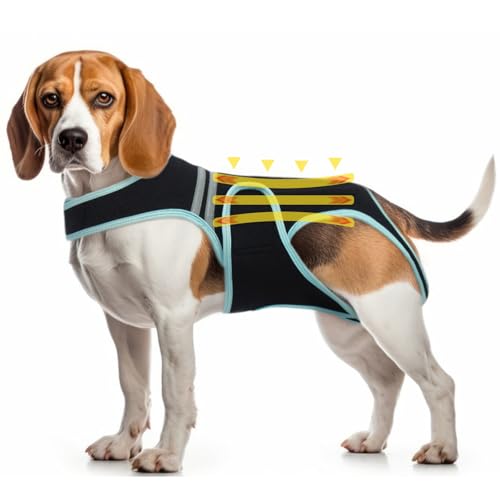 Flexibel Unterstützung Hundegeschirr, Bequem Rückenbandage für Arthritis IVDD Wirbelsäule Chirurgische Genesung Bandscheibenvorfall Bandscheibenrehabilitation Hund Rückenerkrankung Prävention(L) von PUMYPOREITY